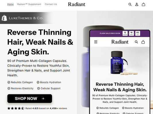 shopify premium theme